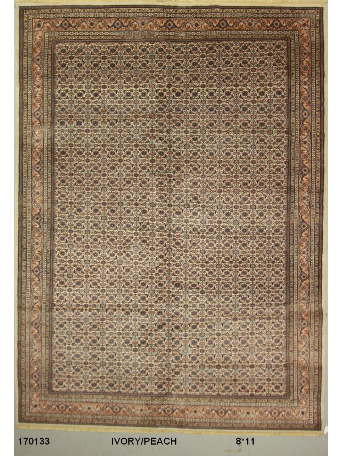 Traditional Ivory SK 7x10 Hand Knotted Area Rug from India
