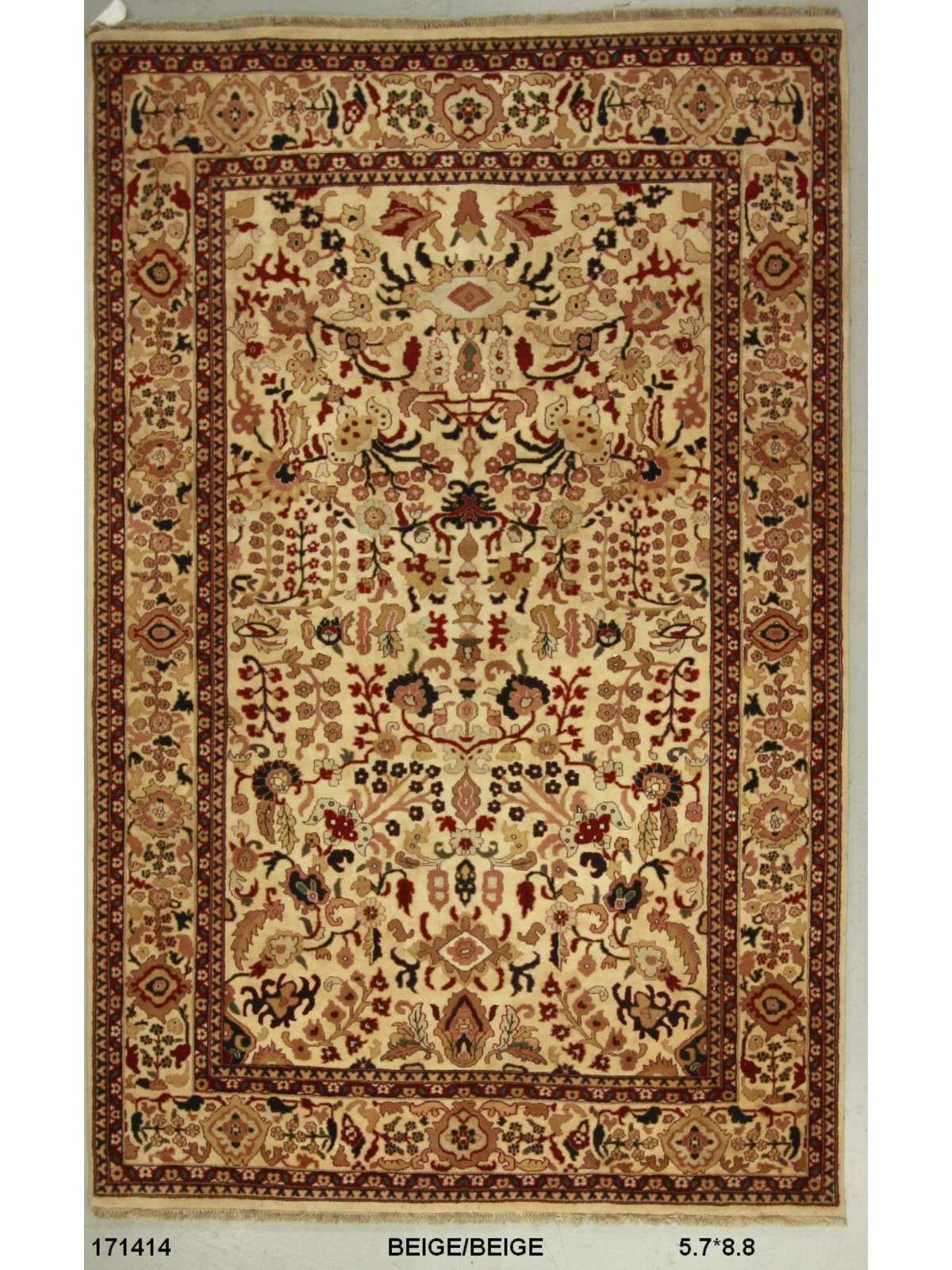 Traditional Beige SK 6x9 Hand Knotted Area Rug from India