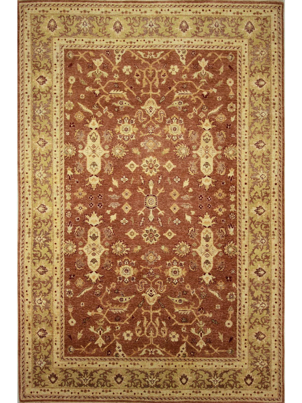 Traditional Copper AK-9 6x9 Hand Knotted Area Rug from India