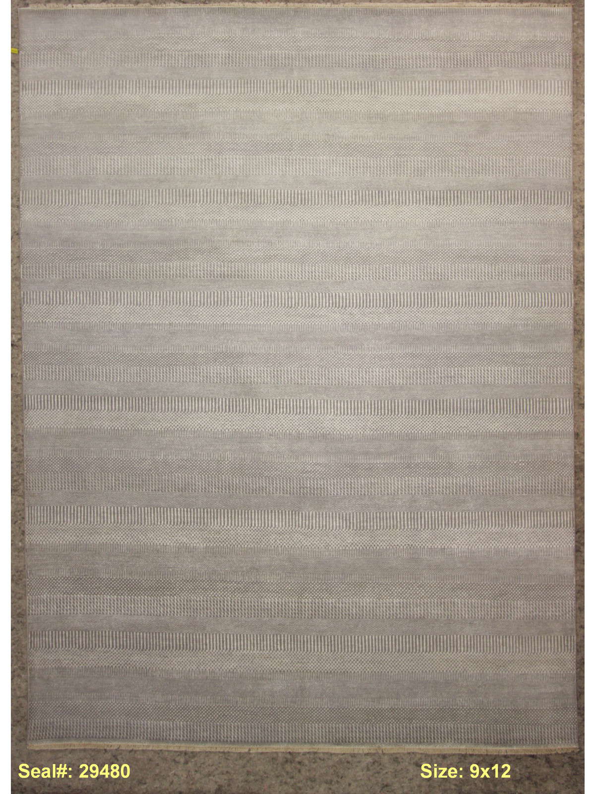 Modern Grey HPT-101 9x12 Hand Knotted Area Rug from India