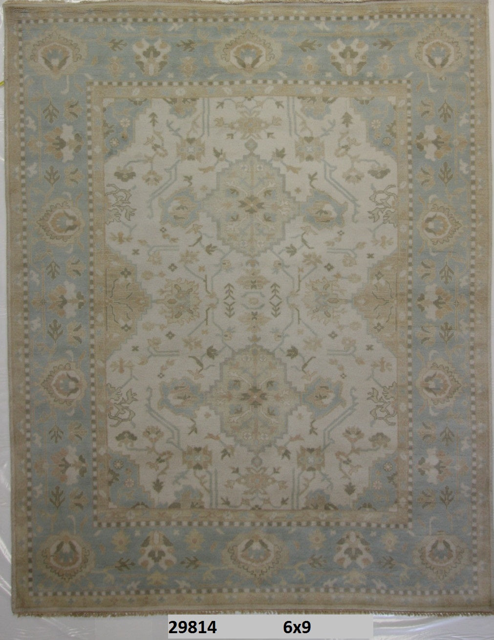 Traditional Beige L.Blue ASSORTED 6x9 Hand Knotted Area Rug from India
