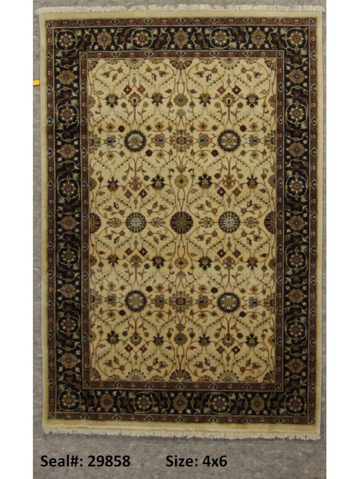 Traditional Ivory 1110 4x6 Hand Knotted Area Rug from India