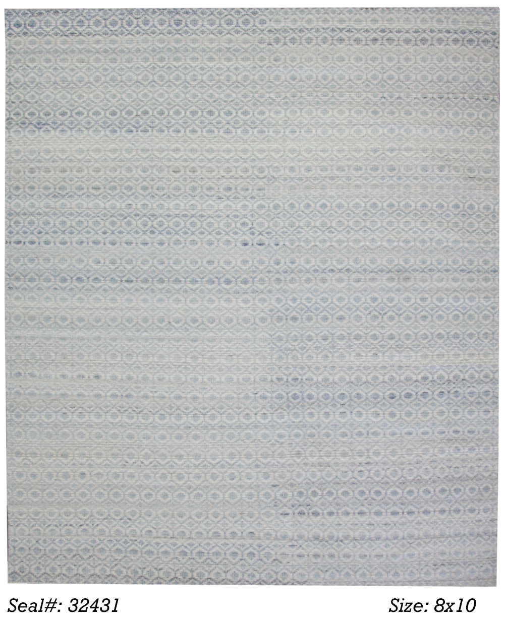 Modern L.Blue 3837 8x10 Hand Knotted Area Rug from India