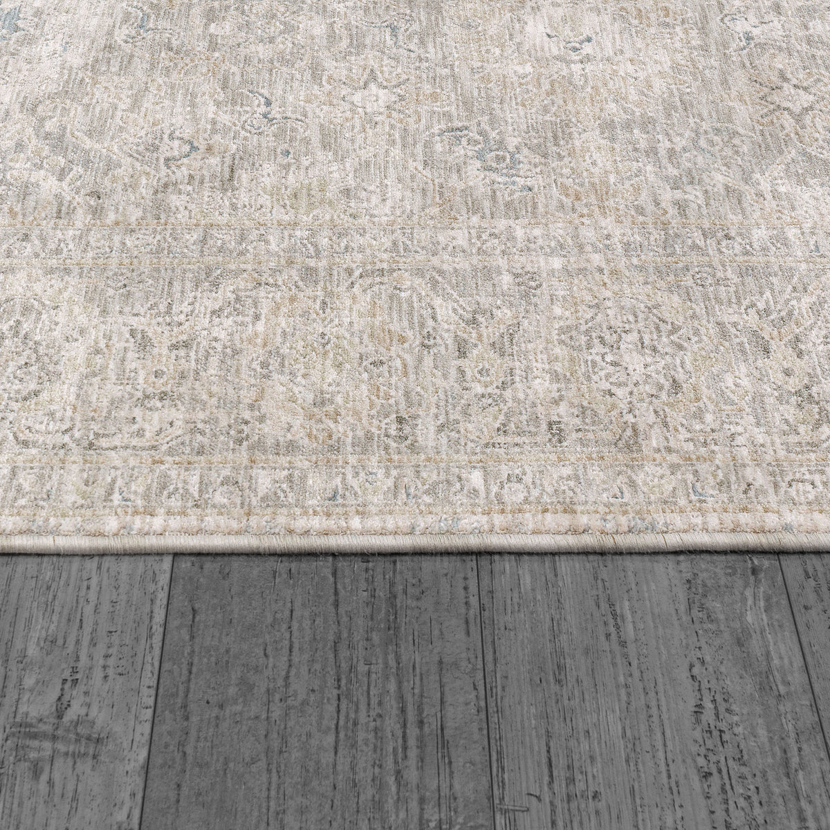 Dynamic Rugs Dharma 12041 Area Rug
