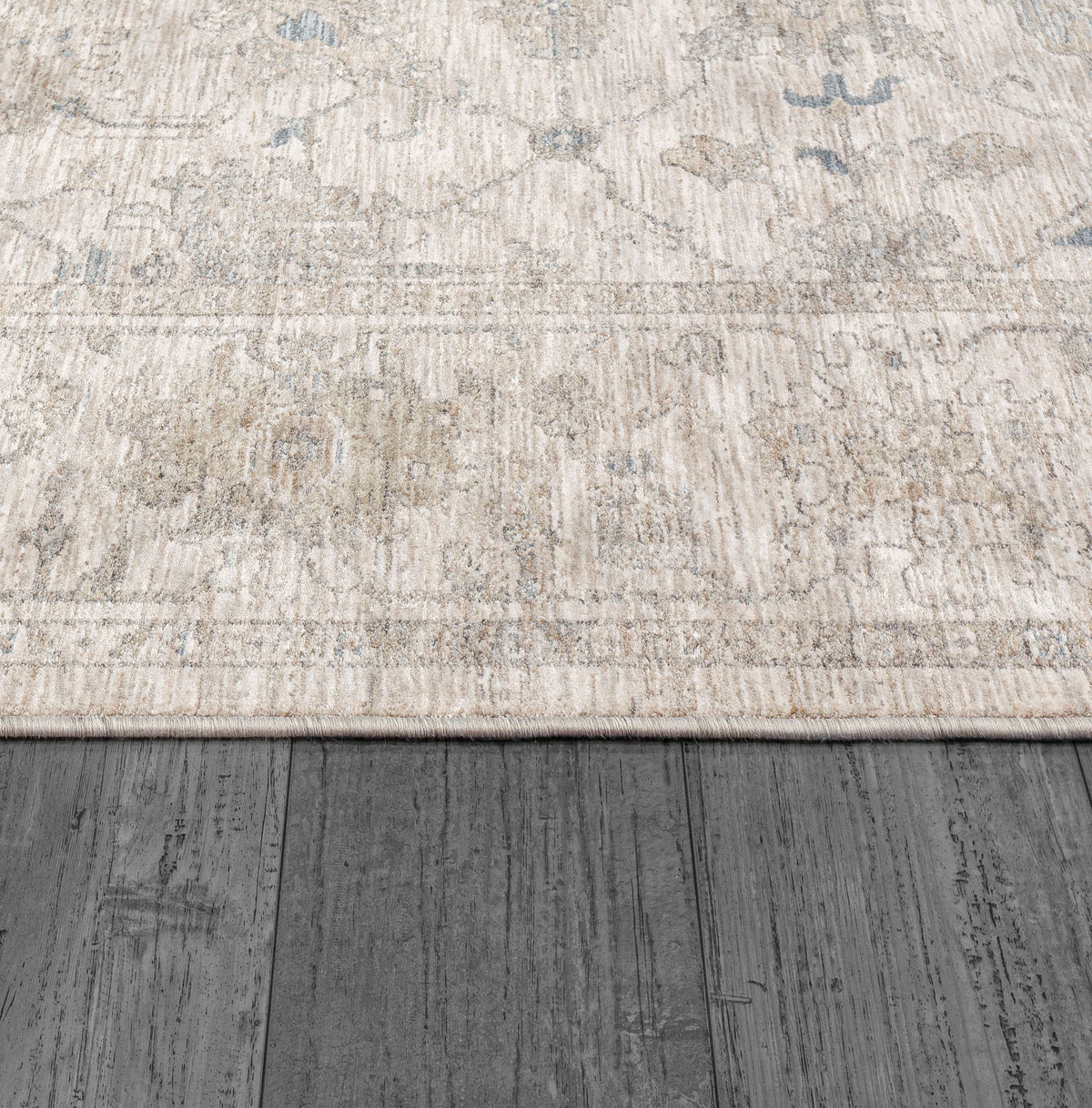 Dynamic Rugs Dharma 12042 Area Rug