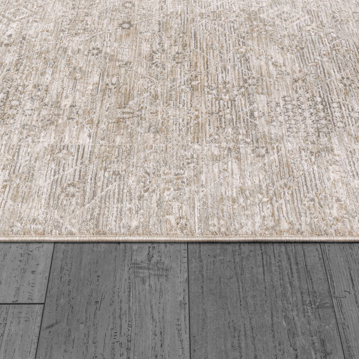 Dynamic Rugs Dharma 12043 Area Rug