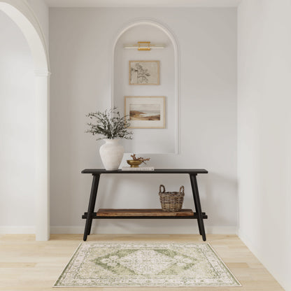 Nourison Home Astra Machine Washable Asw11 Area Rugs Collection