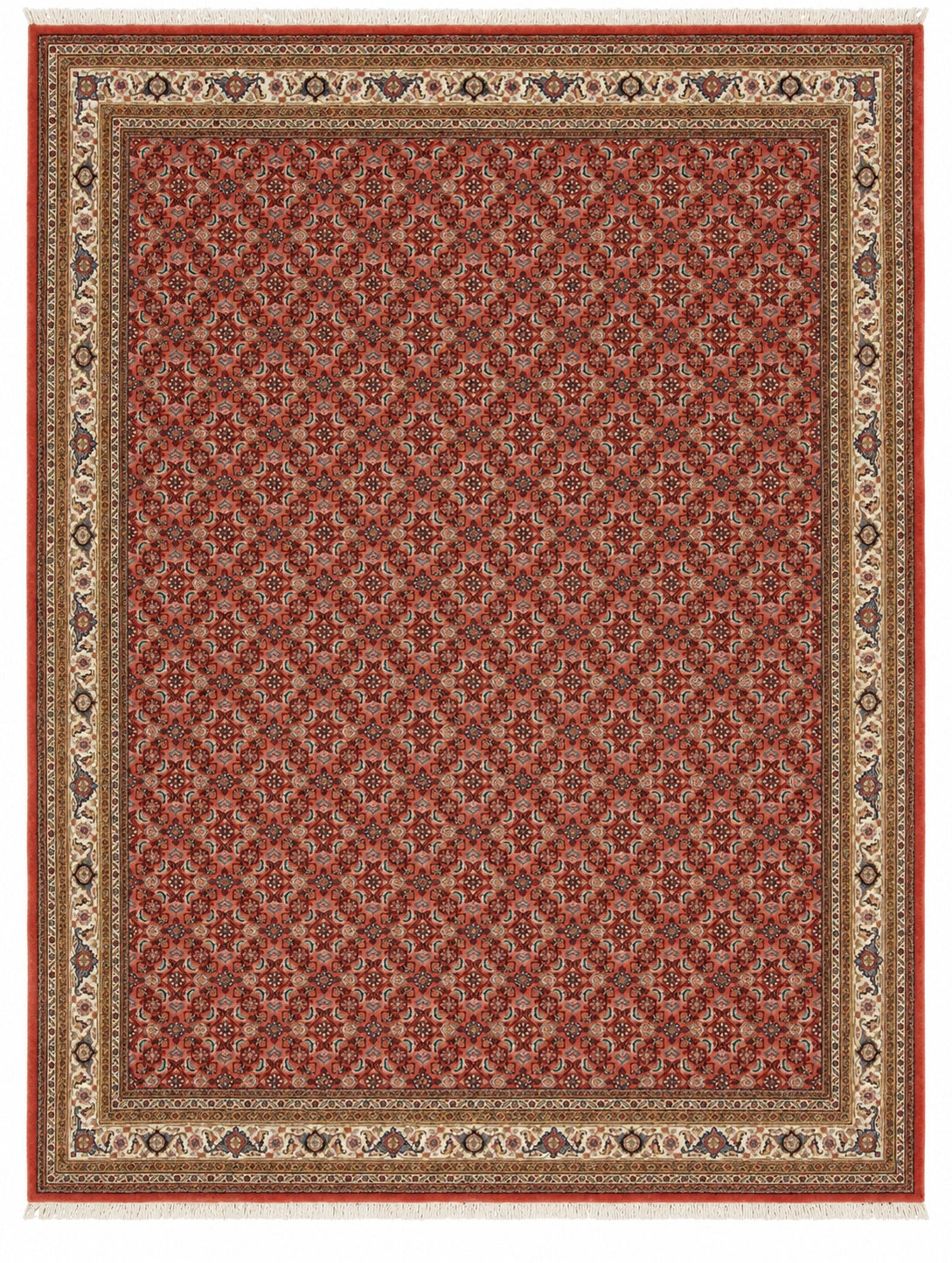 The Rug Mall rug 170129