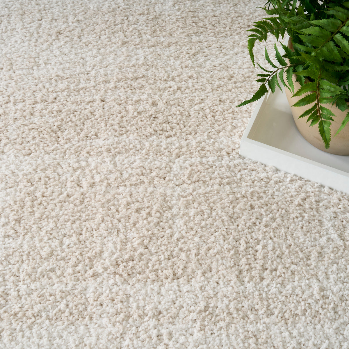 Nourison Home Modern Shag Mmd04 Area Rugs Collection