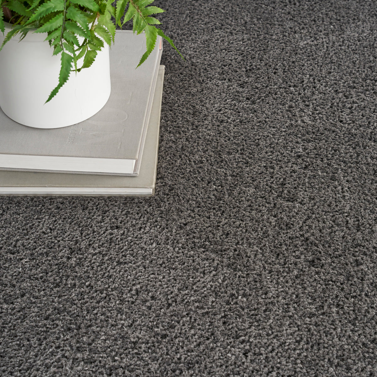 Nourison Home Dreamy Shag Drs05 Area Rugs Collection
