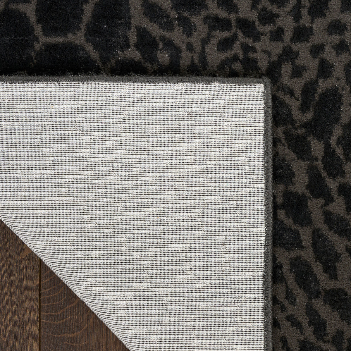 Nourison Home Desire Dsr08 Area Rugs Collection