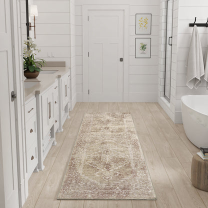 Nourison Home Astra Machine Washable Asw11 Area Rugs Collection