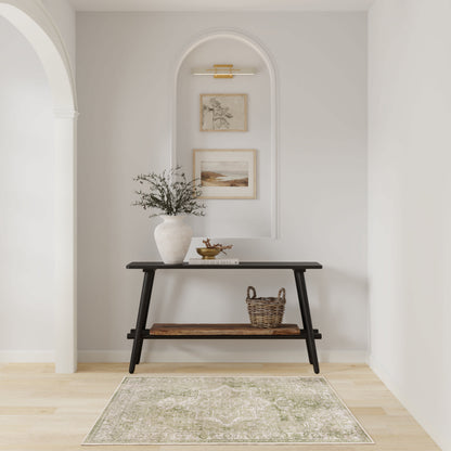 Nourison Home Astra Machine Washable Asw12 Area Rugs Collection