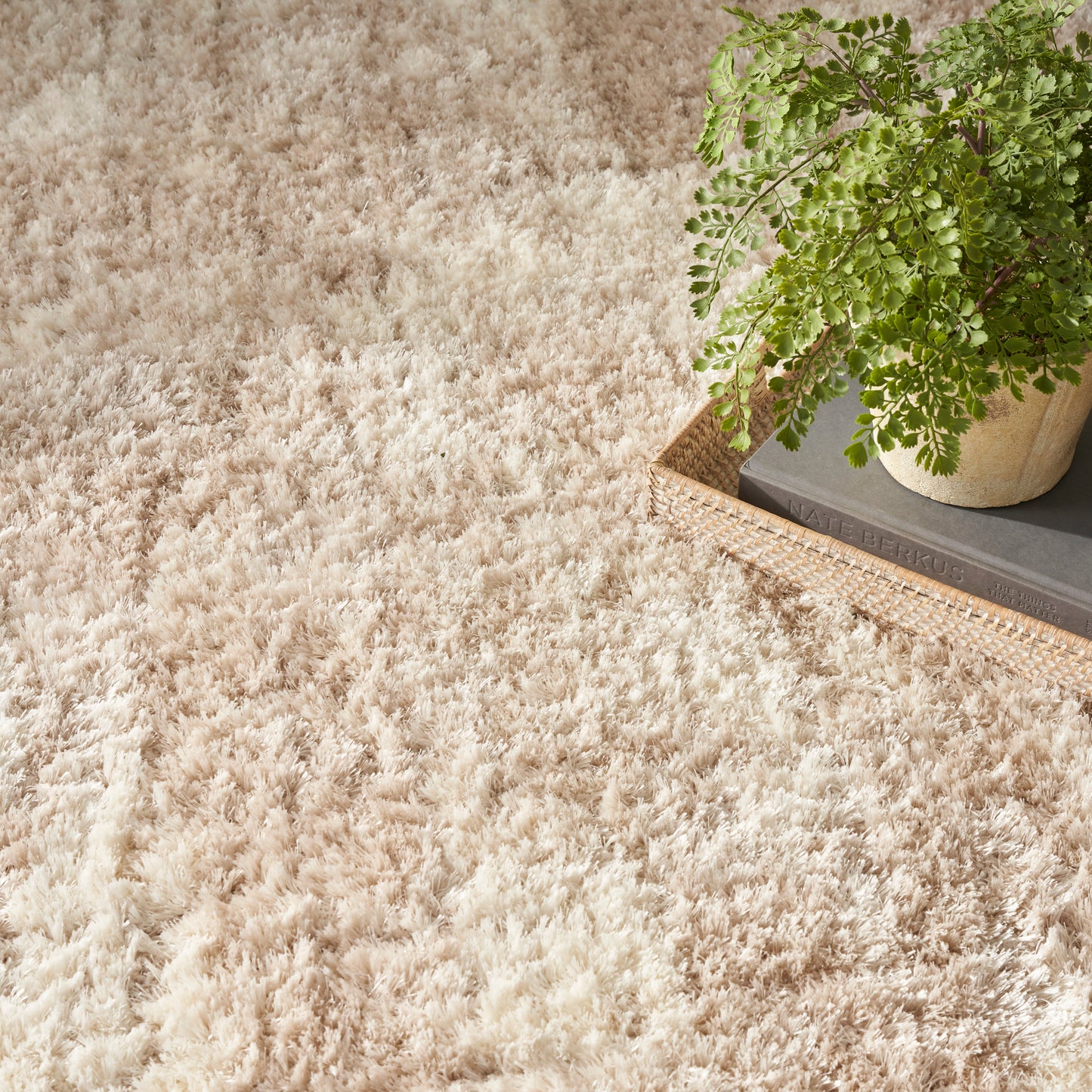 Nourison Home Dreamy Shag Drs01 Area Rugs Collection