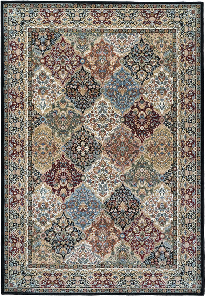 Dynamic Rugs Ancient Garden 57008 Area Rug