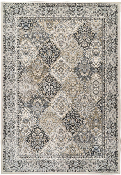 Dynamic Rugs Ancient Garden 57008 Area Rug
