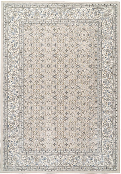 Dynamic Rugs Ancient Garden 57011 Area Rug