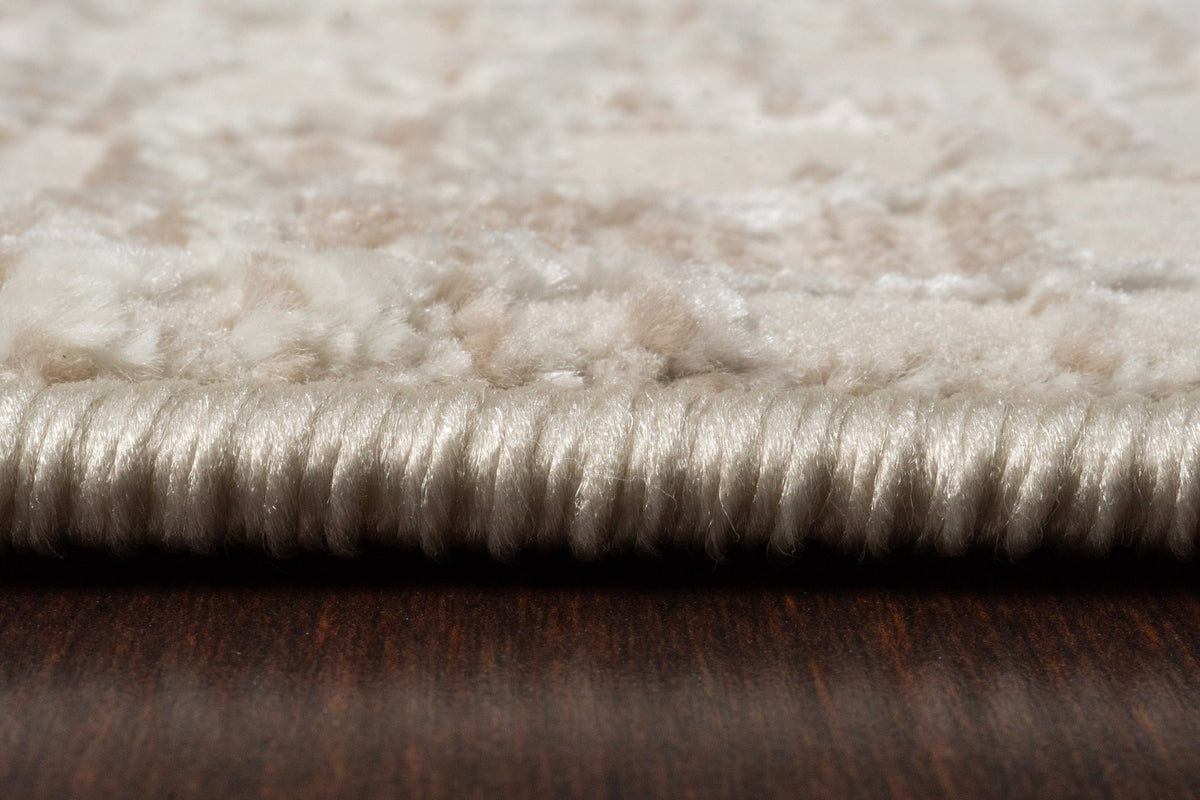 Dynamic Rugs Atlas 2570 Area Rug