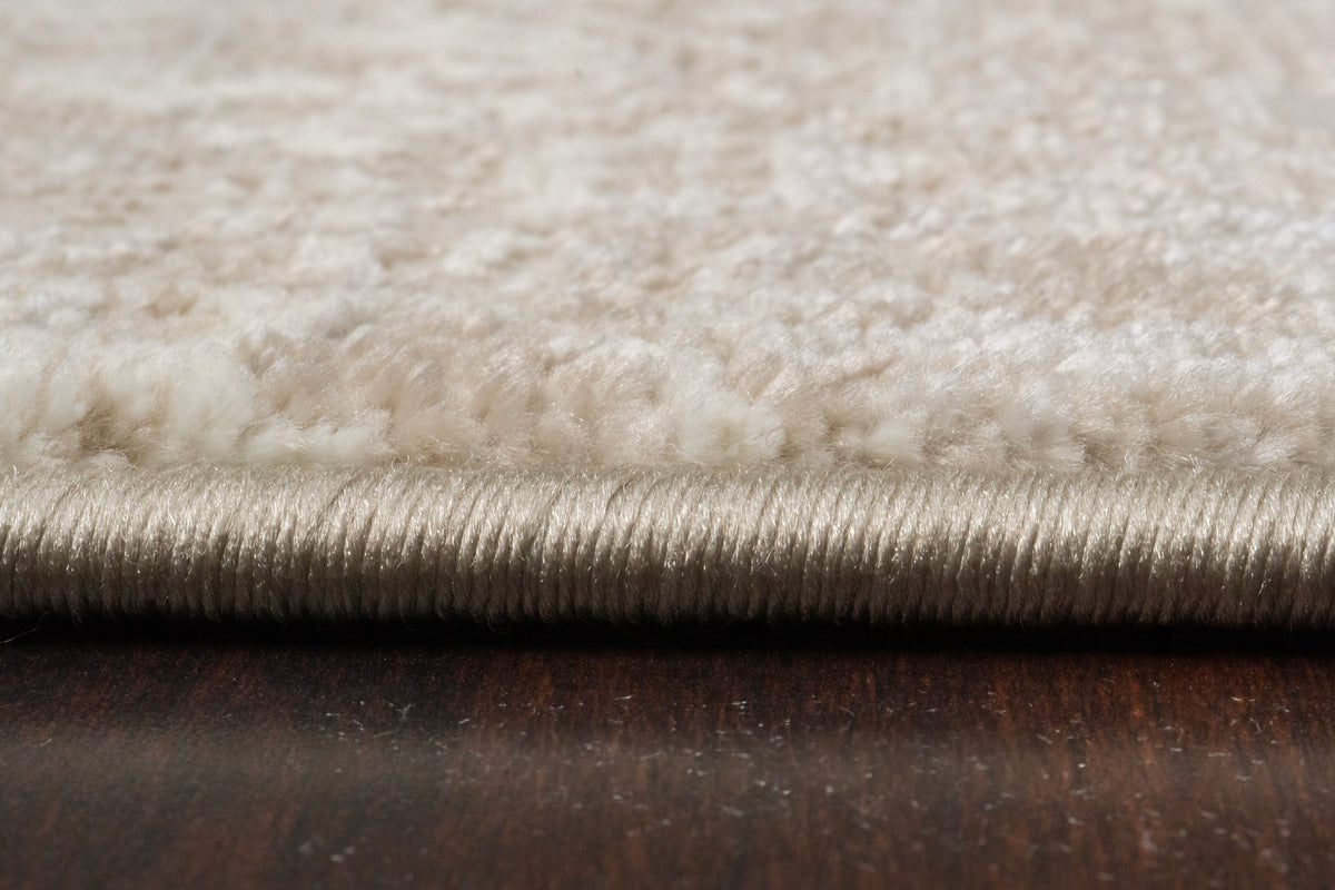 Dynamic Rugs Atlas 2573 Area Rug