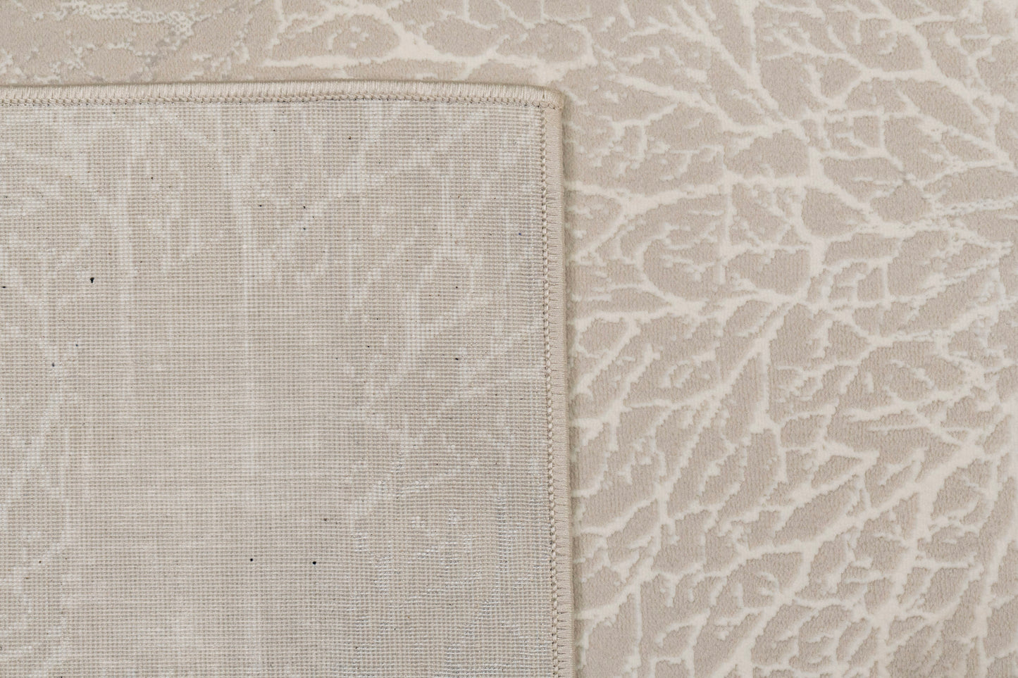Dynamic Rugs Atlas 2584 Area Rug
