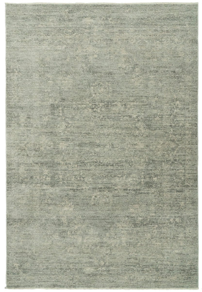 Dynamic Rugs Atmos 11980 Area Rug