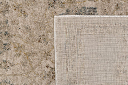 Dynamic Rugs Bloomfield 19606 Area Rug