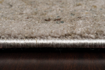 Dynamic Rugs Bloomfield 19606 Area Rug