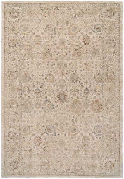 Dynamic Rugs Bloomfield 19606 Area Rug