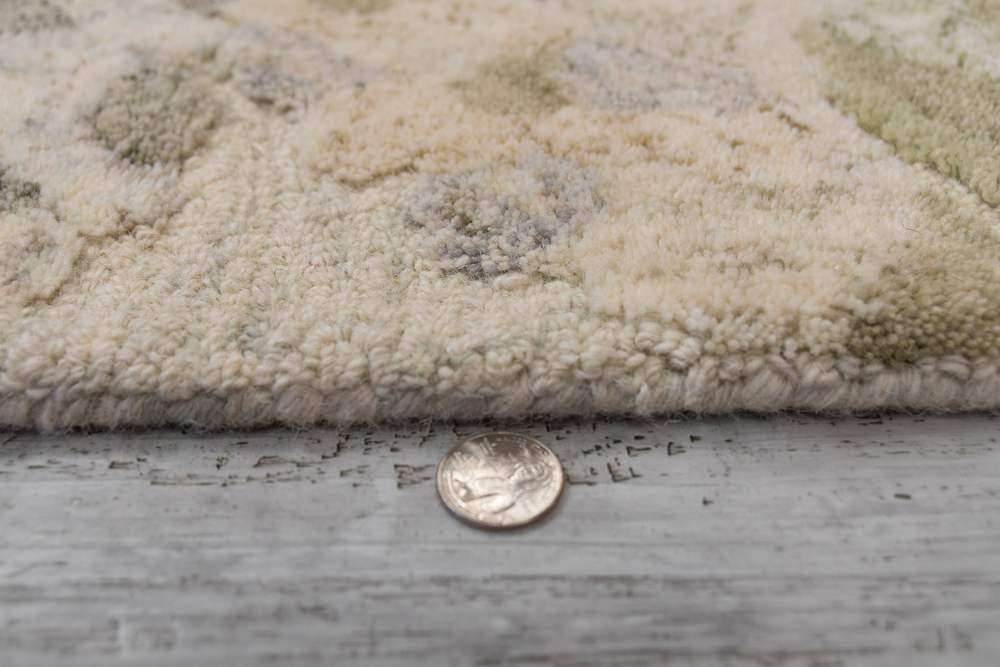 Dynamic Rugs Daisy 9092 Area Rug