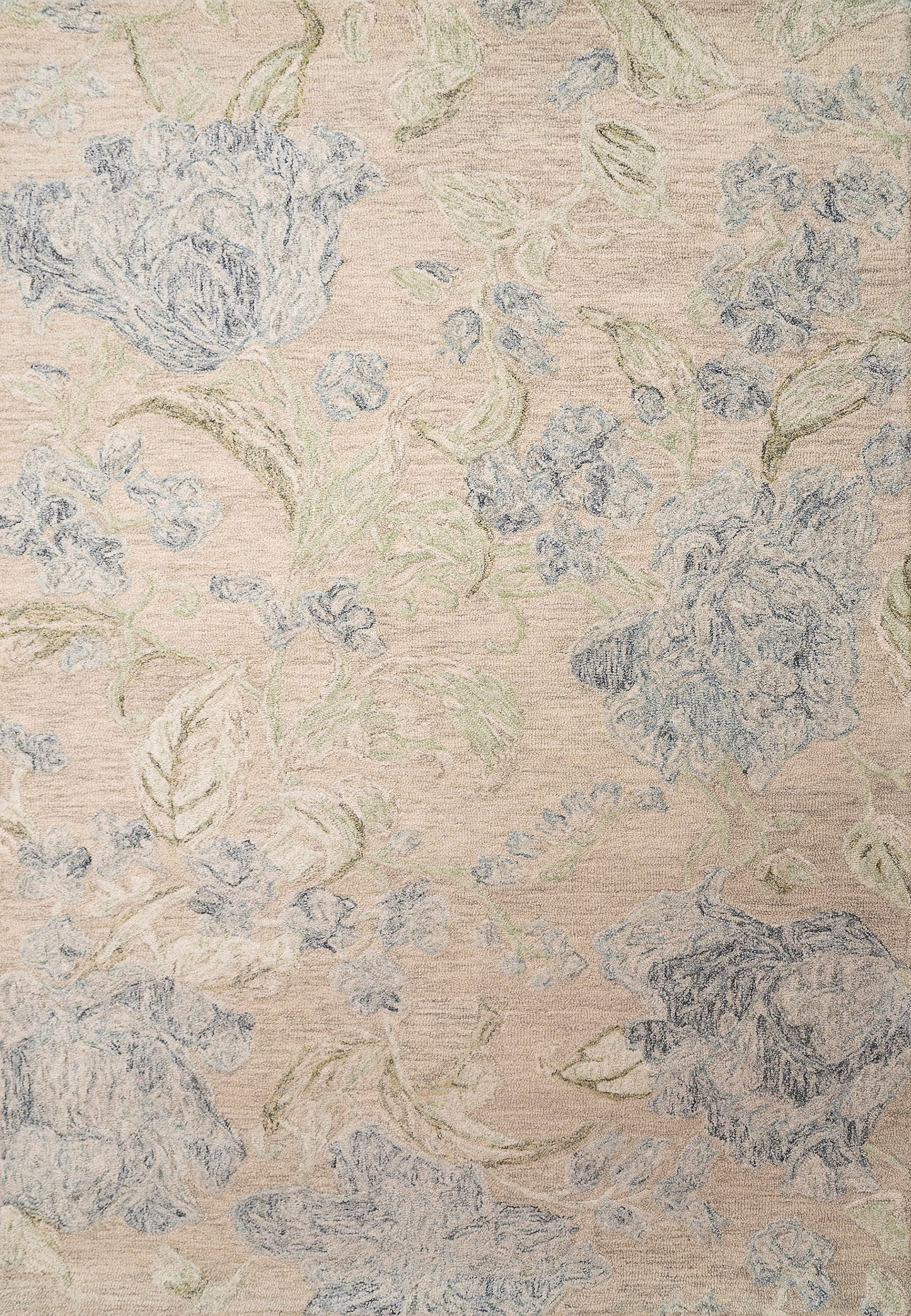 Dynamic Rugs Daisy 9096 Area Rug