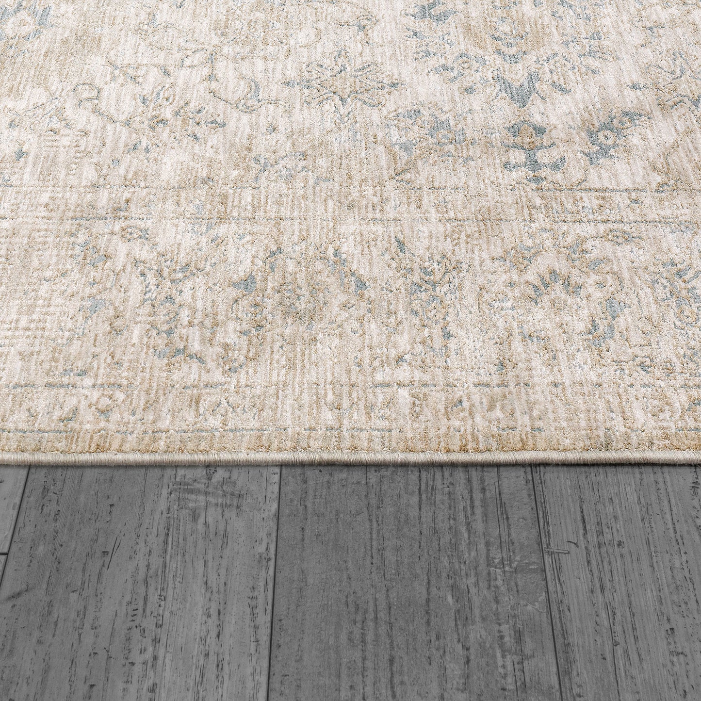 Dynamic Rugs Dharma 12041 Area Rug