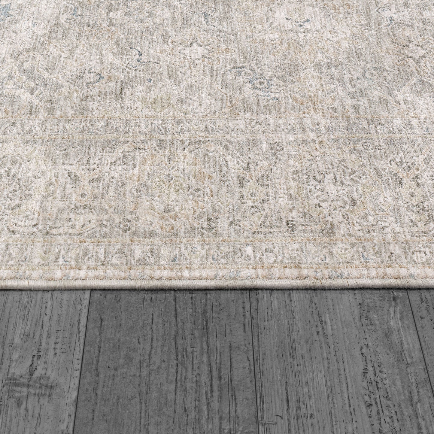 Dynamic Rugs Dharma 12041 Area Rug