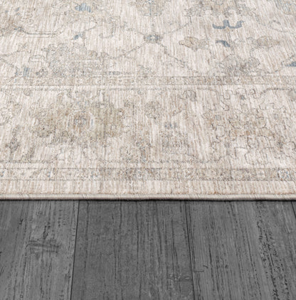 Dynamic Rugs Dharma 12042 Area Rug