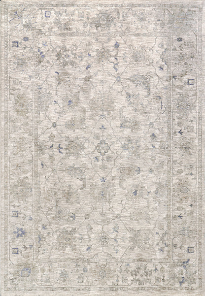 Dynamic Rugs Dharma 12042 Area Rug