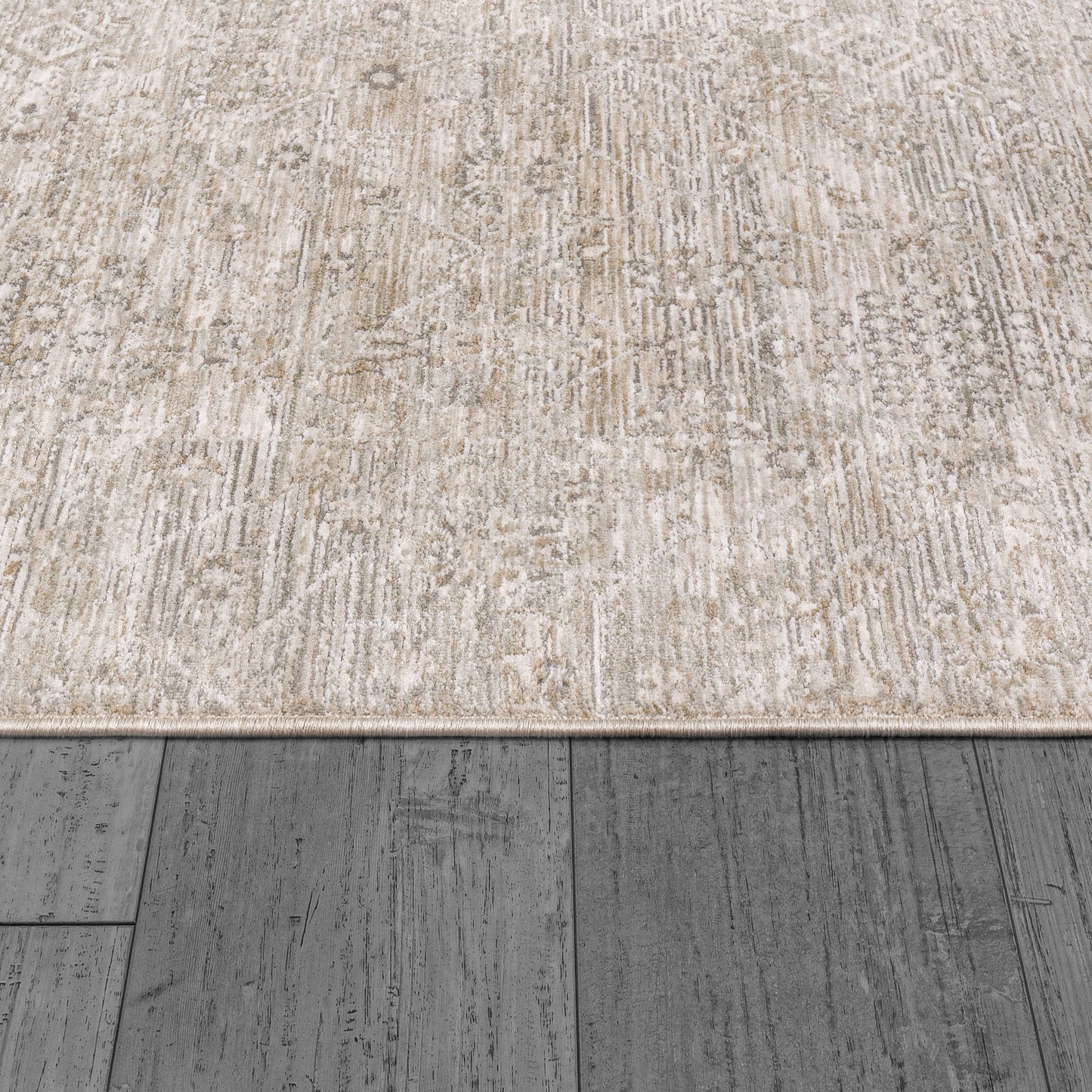 Dynamic Rugs Dharma 12043 Area Rug