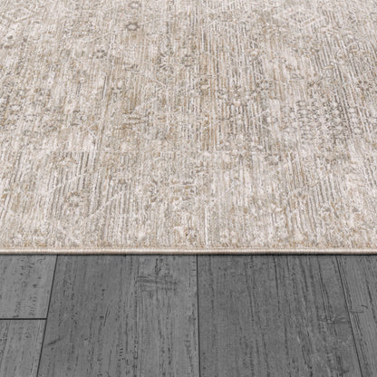 Dynamic Rugs Dharma 12043 Area Rug