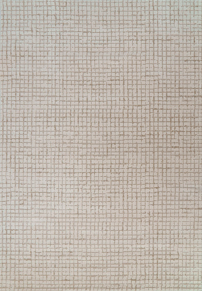 Dynamic Rugs Harmony 59003 Area Rug