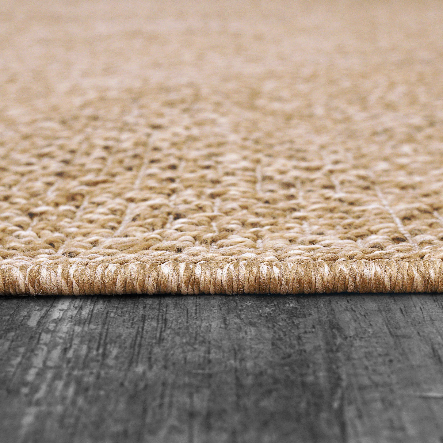 Dynamic Rugs Kenai 8770 Area Rug
