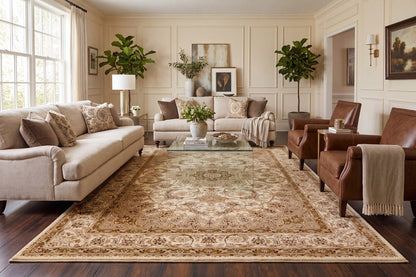 Dynamic Rugs Legacy 58000 Area Rug