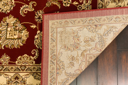 Dynamic Rugs Legacy 58020 Area Rug