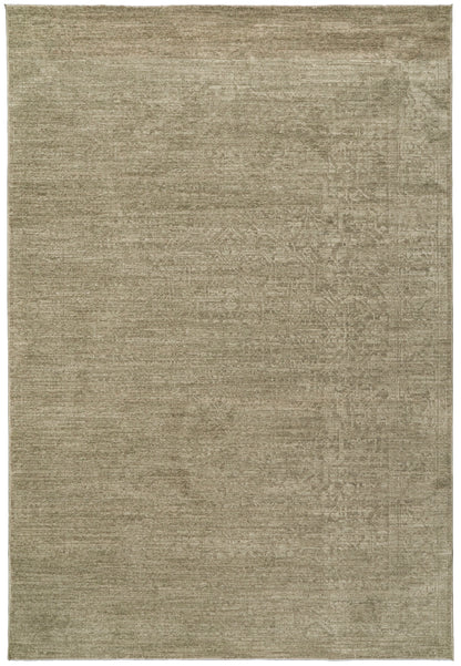 Dynamic Rugs Meadow 17973 Area Rug