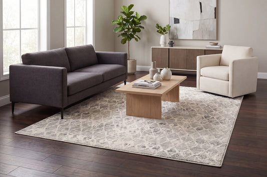 Dynamic Rugs Quartz 27039 Area Rug