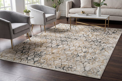 Dynamic Rugs Quartz 27039 Area Rug
