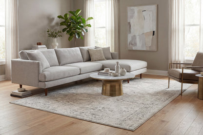 Dynamic Rugs Quartz 27073 Area Rug