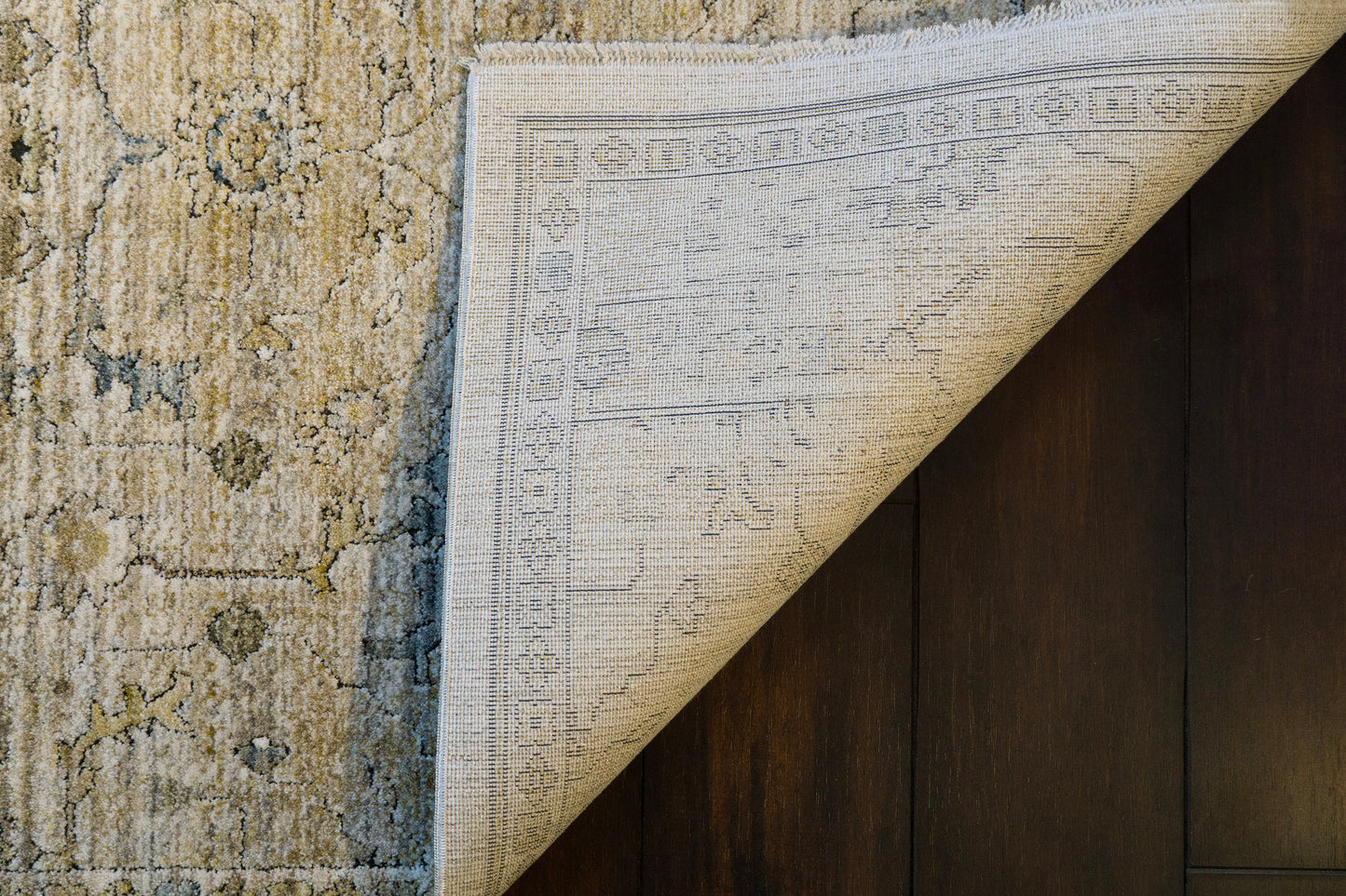 Dynamic Rugs Trevi 13251 Area Rug