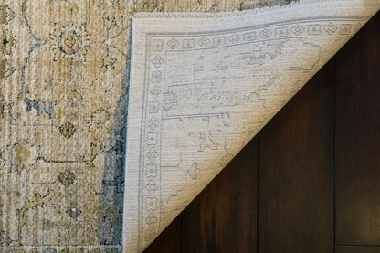 Dynamic Rugs Trevi 13251 Area Rug