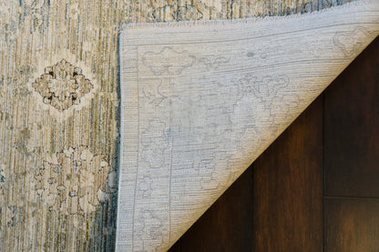 Dynamic Rugs Trevi 13255 Area Rug
