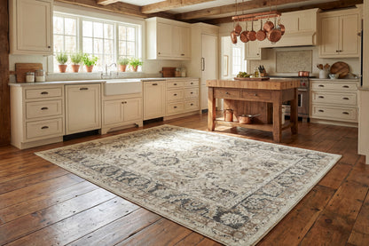 Dynamic Rugs Venedik 17772 Area Rug