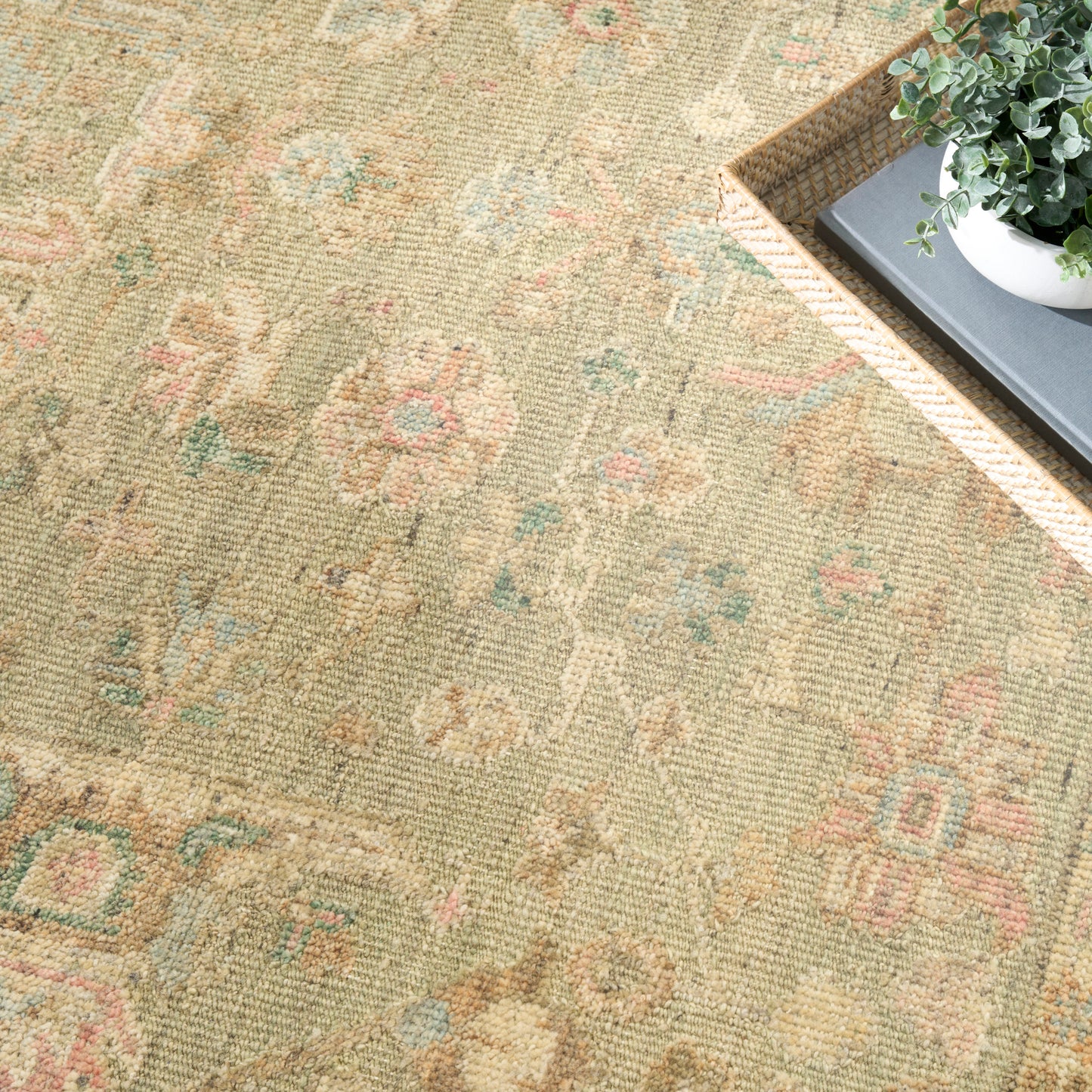 Nourison Home Heritage Vine Htv07 Area Rugs Collection
