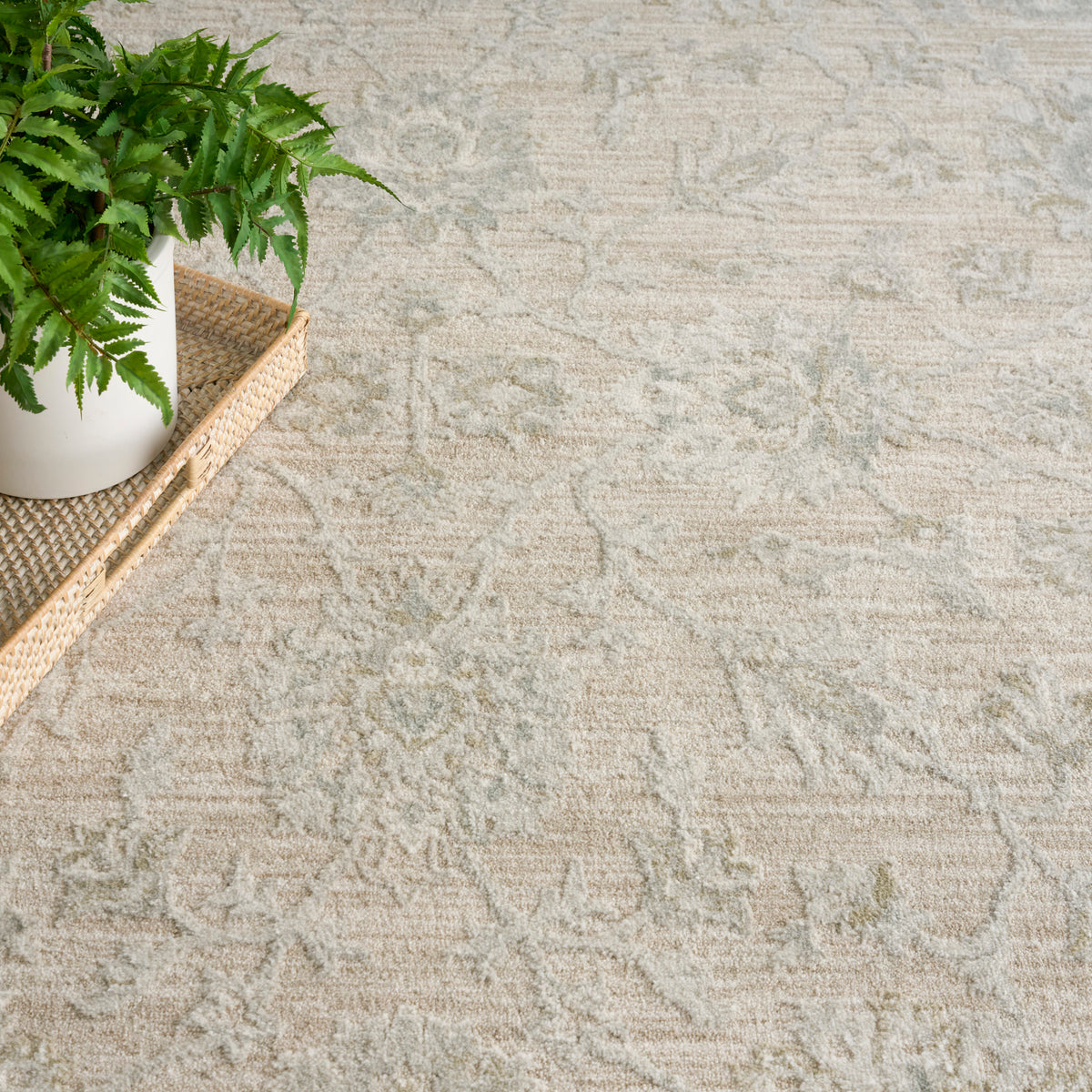 Nourison Home Envy Evv03 Area Rugs Collection